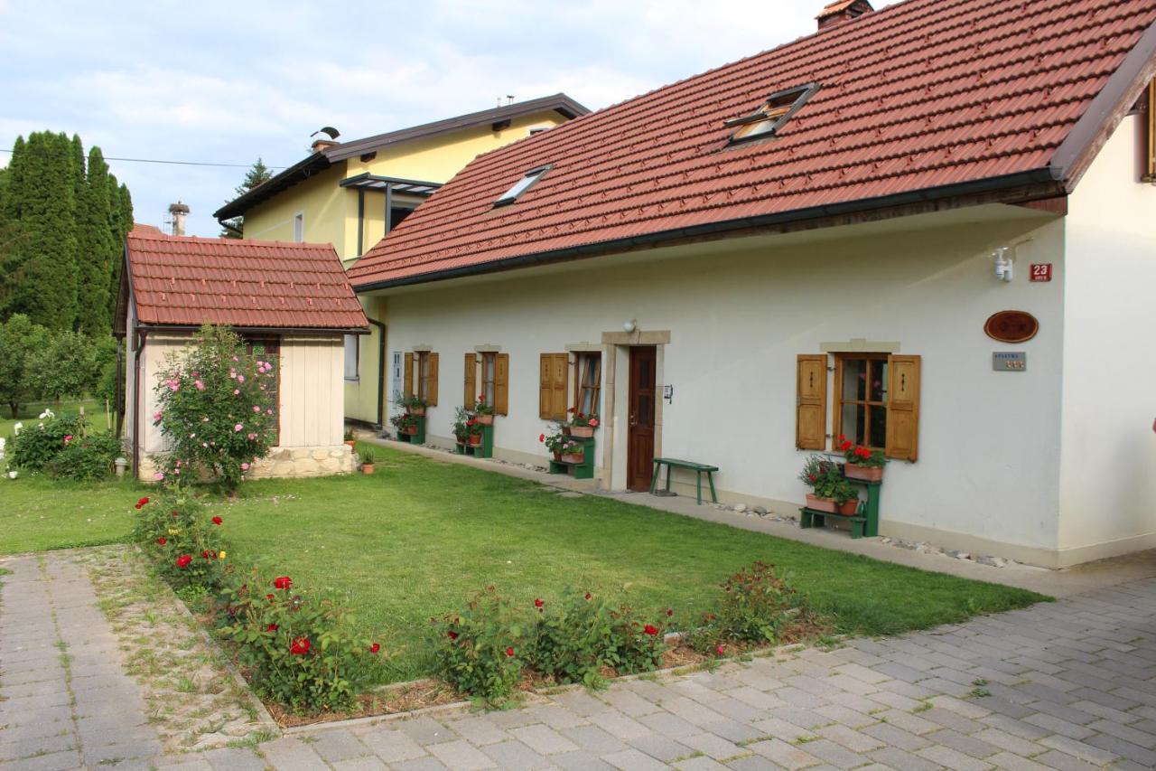 Sleeping In Village Svecina Kültér fotó